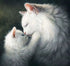 Fluffy White Cats